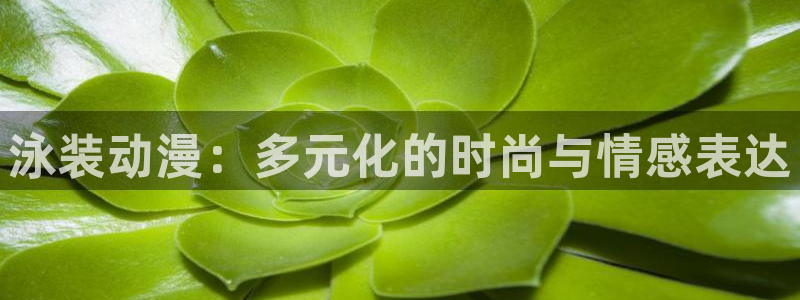动漫天堂91